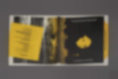 Open record jacket on top of a grey background. The inside is black and yellow, with the left side reminiscent of a wood pattern. The right side is black with a yellow shape in the middle. There is a yellow block with some black text on the left side. And white text at the bottom and the top of the right side.