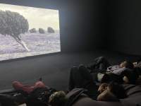 A group of people lay back on bean bags, looking at a large screen. The screen shows the image of a tree in a field. The tree leans to the left. The room is dark.