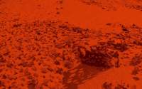 Orange tinted photograph of an arid area with some vegetation and small rocks.