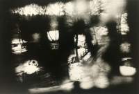 Black-and-white nature scene with shadows that make it difficult to discern. There appears to be some snow and bare trees.